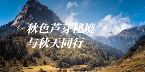 趣徒亲子·国庆 | 小芦芽山·穿越层林浸染原始森林,一起拾秋