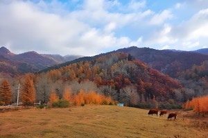秋之童话|穿梭如画仙境七里峪10.17-10.18