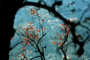 休闲·周日|白玉沟轻徒步+野外急救分享