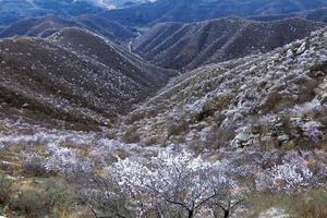 行春入野｜新线路：三尖山穿越拜水洞