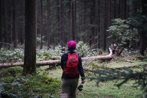 【初级·周日】新线首发｜丛林穿越中卷沟