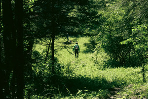【初级·端午】环氧轻徒| 探索初夏森林小径 