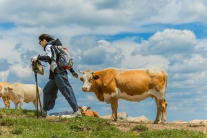 【初级·周六】再走山西阿勒泰—荷叶坪