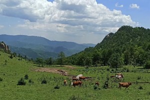 【初级·周六】环氧徒步| 庞泉沟睡美人峰