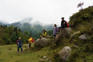 初级·端午| 初夏芦芽，小芦芽山环线徒步