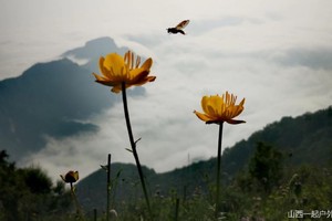 初级·周六｜携手法国依云evian徒步北驼梁百草坨