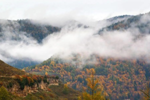 初级·国庆 | 庞泉沟之宽坪沟秋日限定画卷​