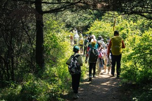趣徒少年 | 穿越白桦林秘境，解锁地球最初的生存法则