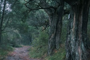 端午轻徒 | 中国版朝圣之路，重走千年古蜀道（可亲子）