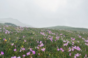 领队团队探路先锋·周日 | 空中大草原
