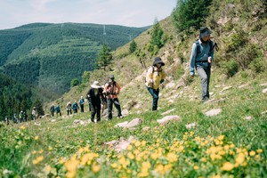 初级·周日 | ​管涔山天树卯原始森林环线,去感受20°的治愈夏天