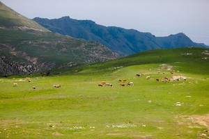 初级·周六 | ​云端空中草原轻徒,拍到你的人生大片