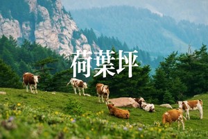 初级+·周六 | 荷叶坪环线