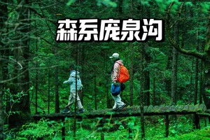 初级+·周日｜森系庞泉沟，八水沟穿越八道沟