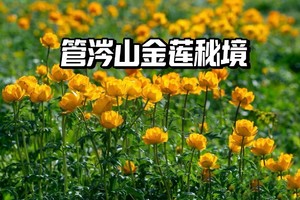 初级·周六｜环氧轻徒，探秘管涔山腹地之金莲谷秘境