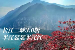 省外活动|长江三峡之巅俯瞰红叶(定金)（已成行）