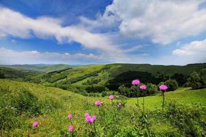 亲子徒步   徒步花季饮马池