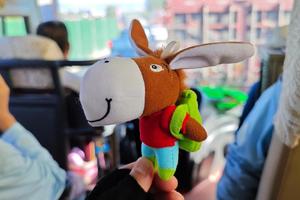 【户外周边】户外背包挂件小驴玩偶