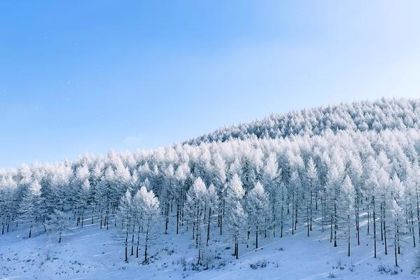 雪域森林｜银妆素裹之饮马池