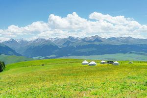 端午长线｜轻装穿越喀拉峻大草原（定金）