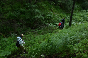中级·周日 | 新线首发：探秘坝儿沟森野秘境