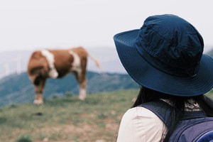 初级·端午 | 环氧轻徒皇姑山