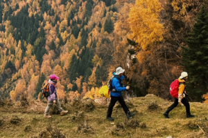 寻秋记｜管涔山高路徒步天树卯