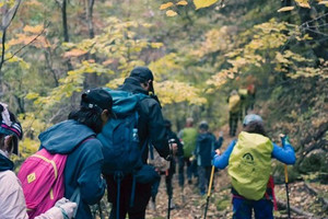 寻秋记｜与思凯乐漫步盛秋北驼梁