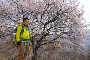 中级·两日 | 桃花季,奔赴南太行踏春赏花（封山中）