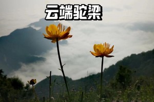 初级+·周六｜徒步北驼梁百草坨