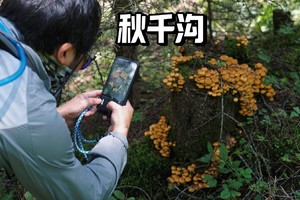 初级·周日 | 绿野仙踪秋千沟环氧轻徒