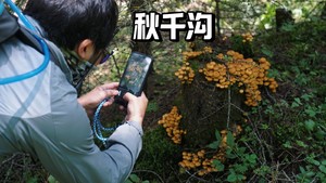 初级·周六 | 绿野仙踪秋千沟环氧轻徒8.29