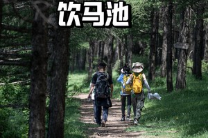 初级·周日 | 行走亚高山大草甸-饮马池大环线