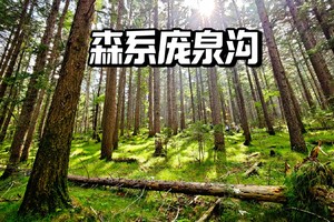 初级·周六 | 环氧轻徒,庞泉沟之宽坪沟