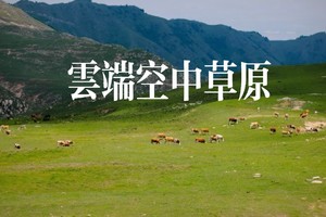 鸿蒙智行×一起户外 | ​云端空中草原轻徒,拍到你的人生大片