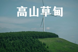 趣徒少年 | 亚高山草甸轻徒，解锁LNT户外法则