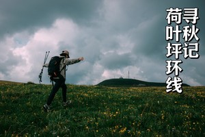 国庆·初级+ | 金色荷叶坪