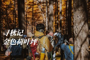 初级+ | 金色荷叶坪