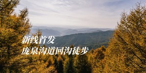 金秋彩林 |初级·周日| 庞泉沟瓦窑沟10.11