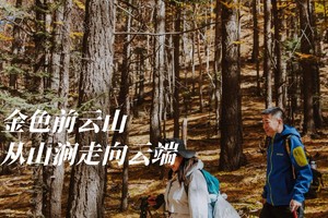 初级·周日 | 金色前云山,从山涧走向云端 