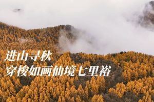 初级 周六  | 穿梭如画仙境七里峪