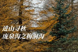 初级 · 周日 | 秋色庞泉沟之梅洞沟