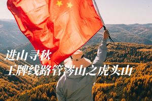 初级+·周日 | 探寻管涔山虎头山多彩之秋