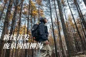 初级·周日 | 新线首发,庞泉沟之醋柳沟