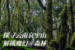 春节活动 | 走进神秘哀牢山,徒步元阳梯田（定金）