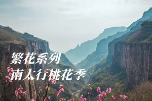 中级·两日 | 桃花季,奔赴南太行踏春赏花