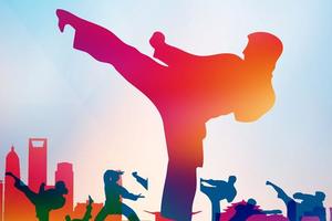 “山西搏之美杯”系列赛之跆拳道比赛 