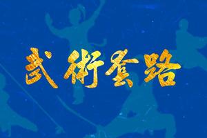 2022年山西省武术套路锦标赛
