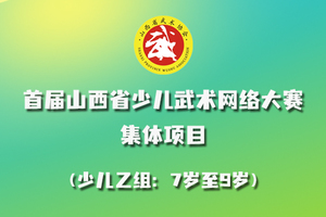 2022年首届山西省少儿武术网络大赛 集体项目 少儿乙组报名