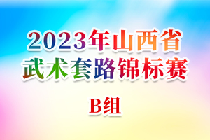2023年山西省武术套路锦标赛 B组